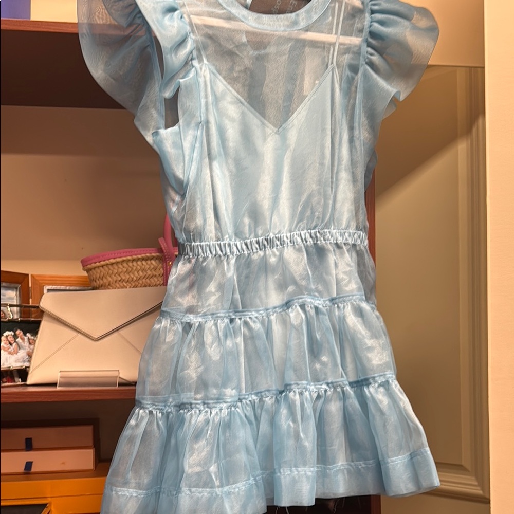 💖✨NWT SIMKHAI Monique Organza Ruffle Sleeve Mini Dress size 10